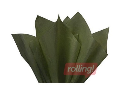 Dekoratiivne siidipaber Vert olive 41, 18 g/m2, 50 x 75 cm, 24 lehte