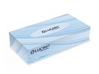 Kosmeetilised salvrätikud Lucart Professional, 2-kihiline, 100 lehte, 841030