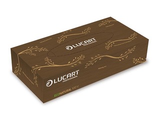 Kosmeetilised salvrätikud Lucart EcoNatural V, 100 tk