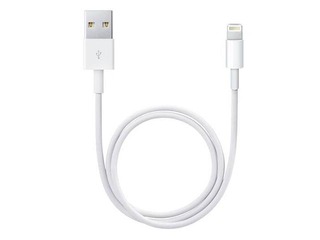 Power and data cable - APPLE Lightning to USB Cable (1 m)