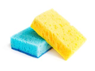 Sponges and brushes for dishes