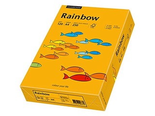 Koopiapaber Rainbow 22, A4, 80 gsm, 500 lehte, heleoranž