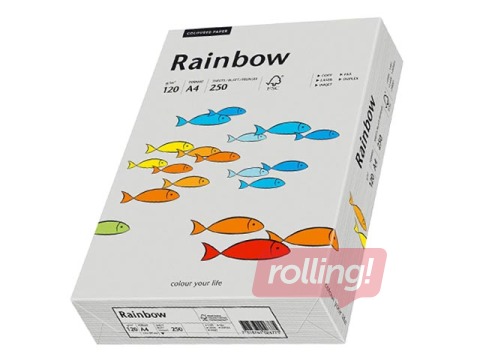 Koopiapaber Rainbow 96, A4, hall, 80g/m², 500 lehte
