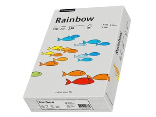 Koopiapaber Rainbow 96, A4, hall, 80g/m², 500 lehte