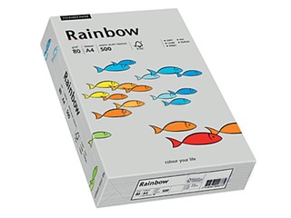 Koopiapaber Rainbow 93, A4, 160 gsm, 250 lehte, helehall
