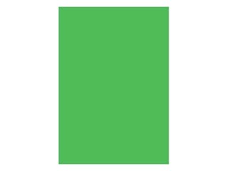 Kartong Kaskad, kahepoolne, A3, 225g/m2, 25 lehte, smaragdroheline