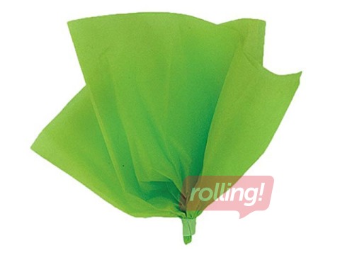 Siidipaber Vert Sapin 5, 18g/m², 50x75cm, 24 lehte