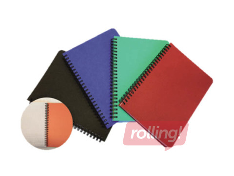 Värviline kaustik SM·LT, A4, ruuduline, 96 lehte