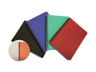 Värviline kaustik SM·LT, A4, ruuduline, 96 lehte