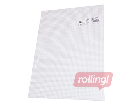 Kirjapaber ABC Jums, A3, ruuduline, 100 lehte
