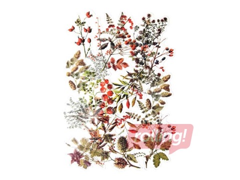 Kleebised Galeria Papieru Treasures of the Forest