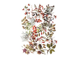 Kleebised Galeria Papieru Treasures of the Forest