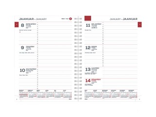 MINISTER Spirex блок контента, неделя X