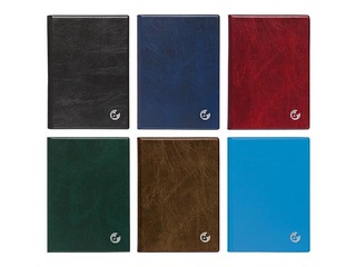 Raamatkalender Boss, plastikkaaned, spiraalköide, Päev