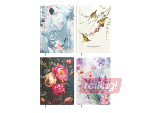 Minister Disain, Päev