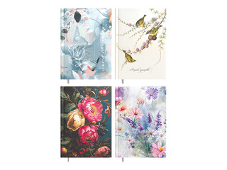 Minister Disain, Päev