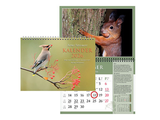 Seinakalender Remo Savisaare autorikalender, spiraalköide