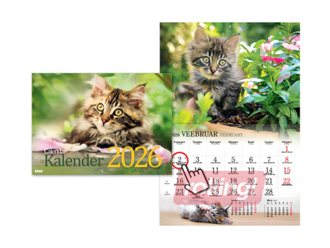 Kassikalender