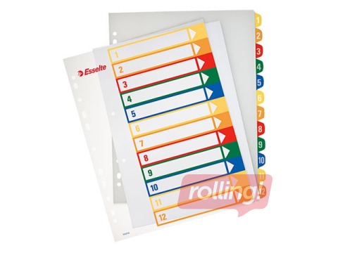 Vahelehed Esselte Project  A4, 1-12, kile