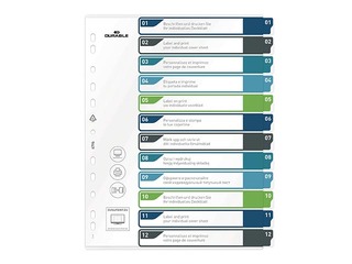 Dokumendijaotur Durable1-12, A4+, PP, värviline