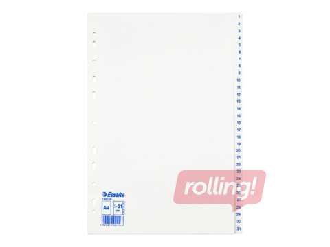 Dokumendijaotur Esselte 1–31, A4, PP, valge