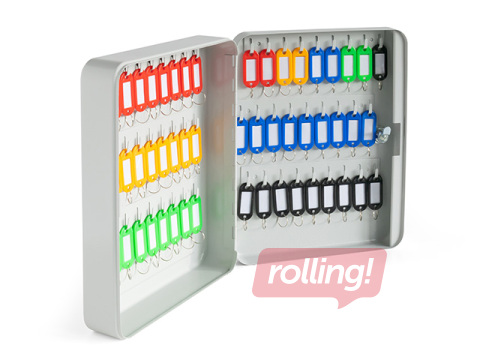 Võtmekapp Argo 54, metallist, hall