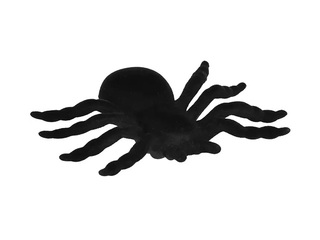 Halloweeni kaunistus – ämblik, Springos, must, 10 cm
