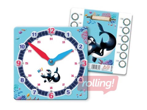 Paper educational clock Dolphins