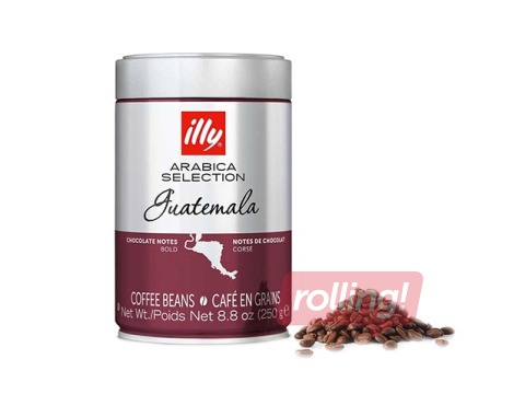 Kohvioad Illy Arabica Selection Guatemala, 250g