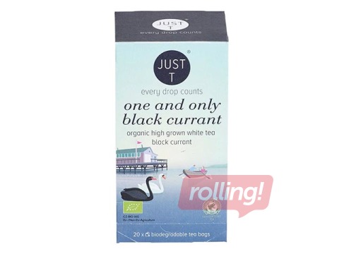 Valge tee Just-T One and Only Black Currant Bio 1g x 20 tk.