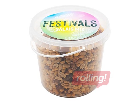 Pähklisegu Festival, soolatud, ämbris, 1 kg