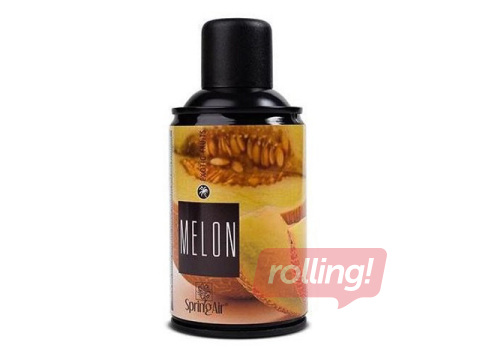 Õhuvärskendaja Spring Air, Melon, 250ml