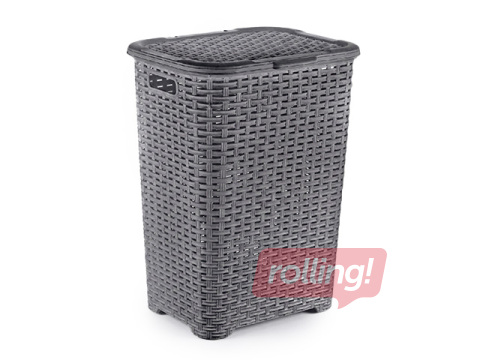 Pesukorv Dunyaplastik Rattan, kaanega, hall, 60l