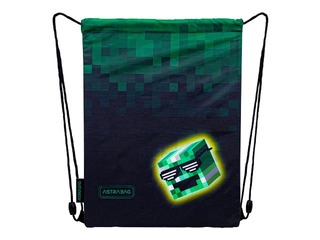 Jalatsikott Astra Pixel Hero