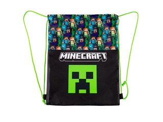 Jalatsikott Astra, Minecraft