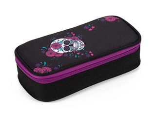 SALE Pinal Skull