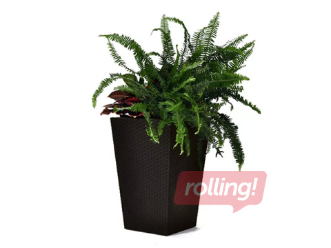 Dekoratiivne lillepott Keter Rattan Planter, plast, pruun, 38.5x38.5x57cm