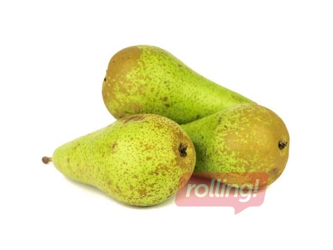 Pirnid Conference, 45+, 1. sort, 1 kg, väikesed