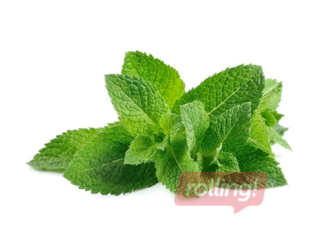 Piparmünt pakendatud termopakendisse 20g, 1. klass