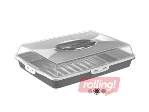 Koogikarp Dunya, erinevad värvid, 45×31×10cm