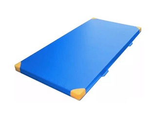 Võimlemismatt koolidele ja spordisaalidele, 2 m x 1 m, paksus: 8 cm