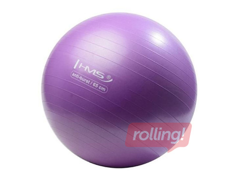 Võimlemispall pumbaga, lilla, Ø65cm