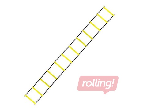 Training Ladder (6m) 