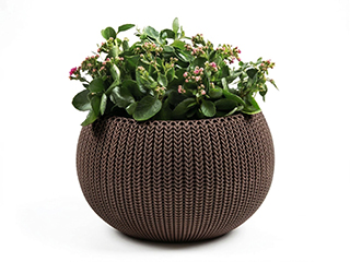 Flower Pots and Planter Boxes