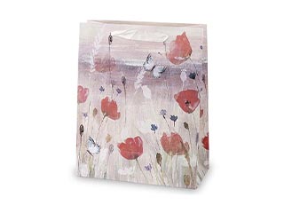 Gift bags with design