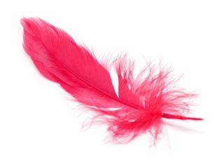 Decorative feathers