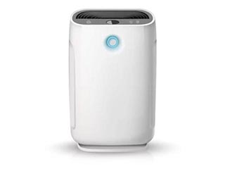Air humidifier, absorbents