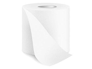 Toilet  Paper