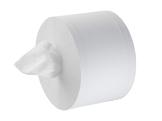 Toilet paper rolls for holders