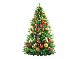 Christmas trees and decorations